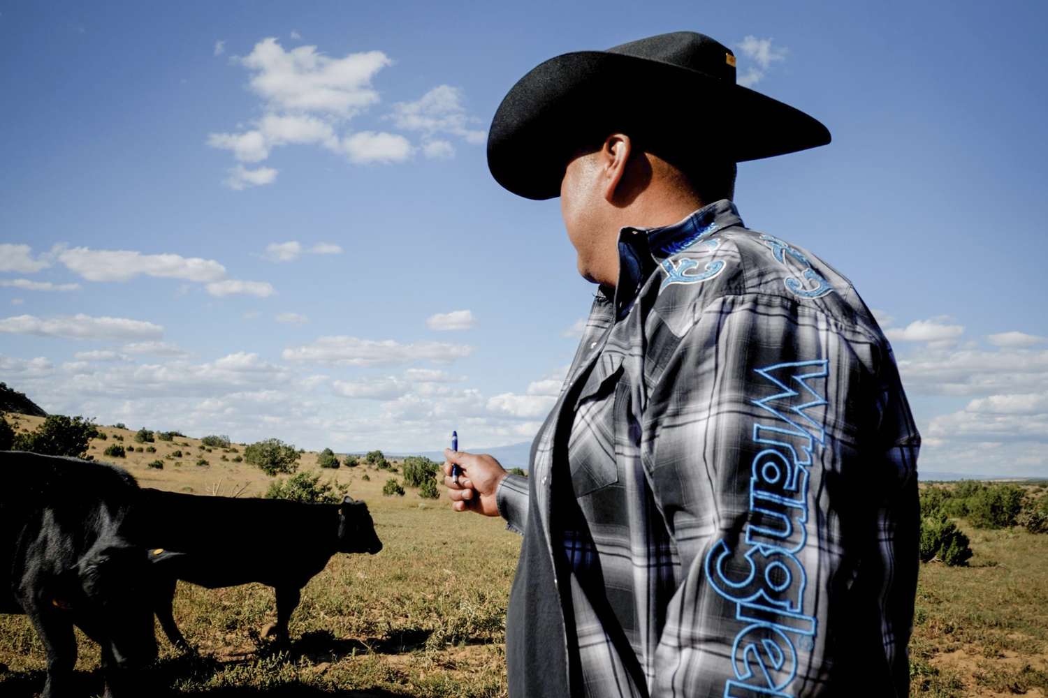 Inside a Tumultuous Week for the Beef Industry